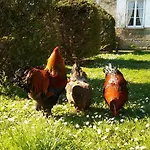 Manoir De Vilaines Varennes (Vienne)