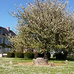 Manoir De Vilaines * Varennes (Vienne)