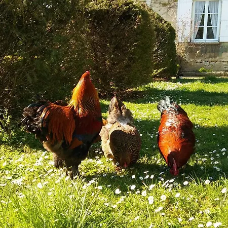 Manoir De Vilaines Varennes (Vienne)