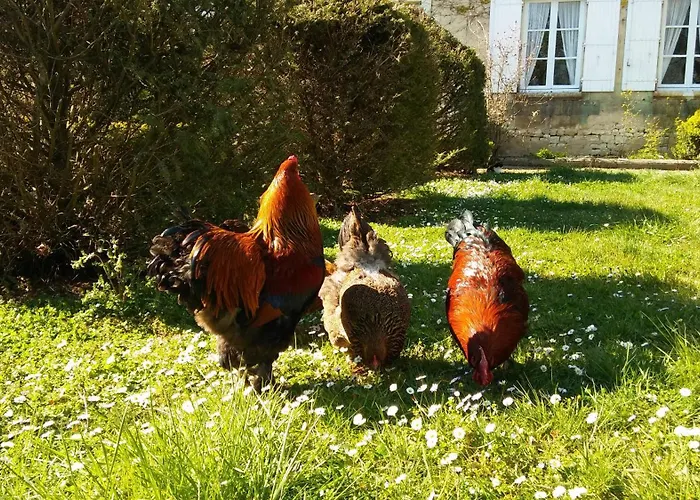Manoir De Vilaines Varennes (Vienne)